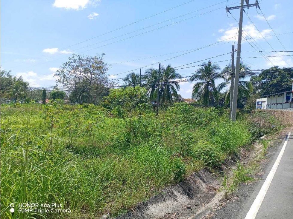 Vendo terreno en Bugaba, para desarrollo residencial o comercial - 6