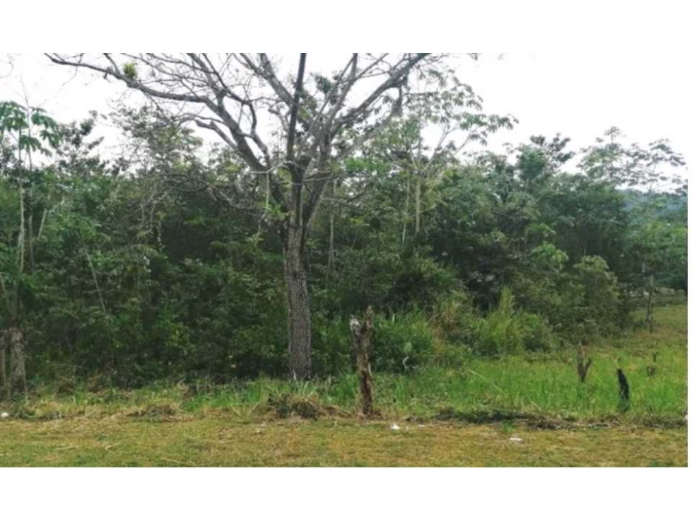 VENDO TERRENO EN CAPIRA VILLA DEL CARMEN 20.279.02 MTS - 1