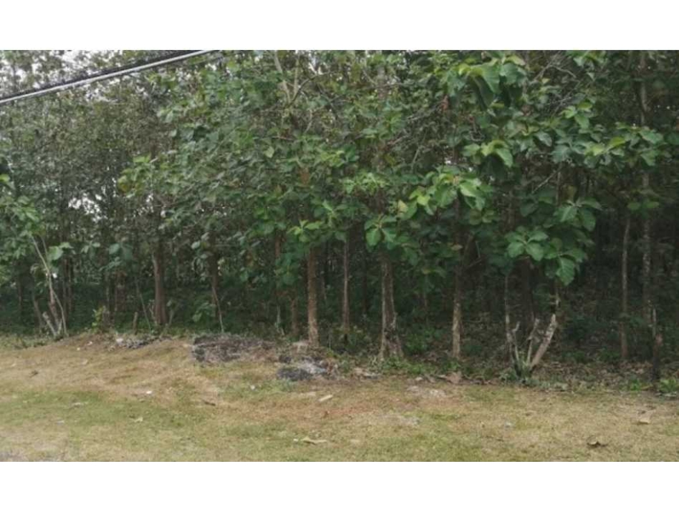 VENDO TERRENO EN CAPIRA VILLA DEL CARMEN 20.279.02 MTS - 3
