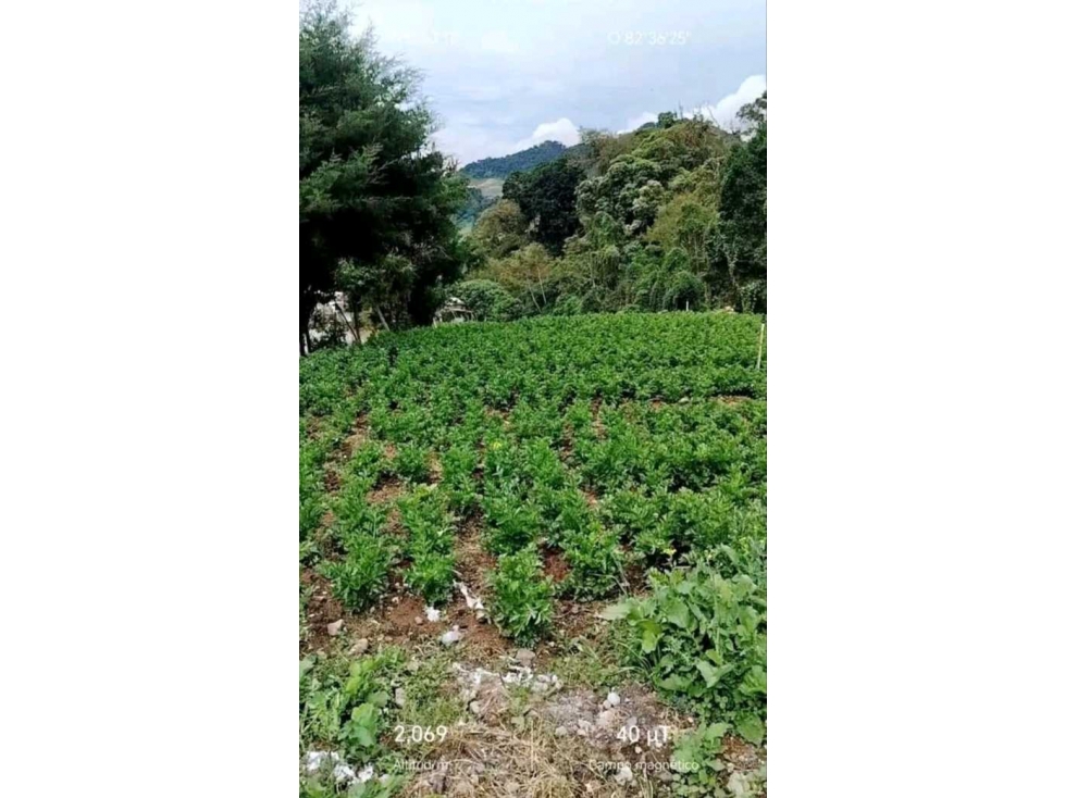 VENDO TERRENO EN CERRO PUNTA, LAS NUBES, EXCELENTE CLIMA - 2