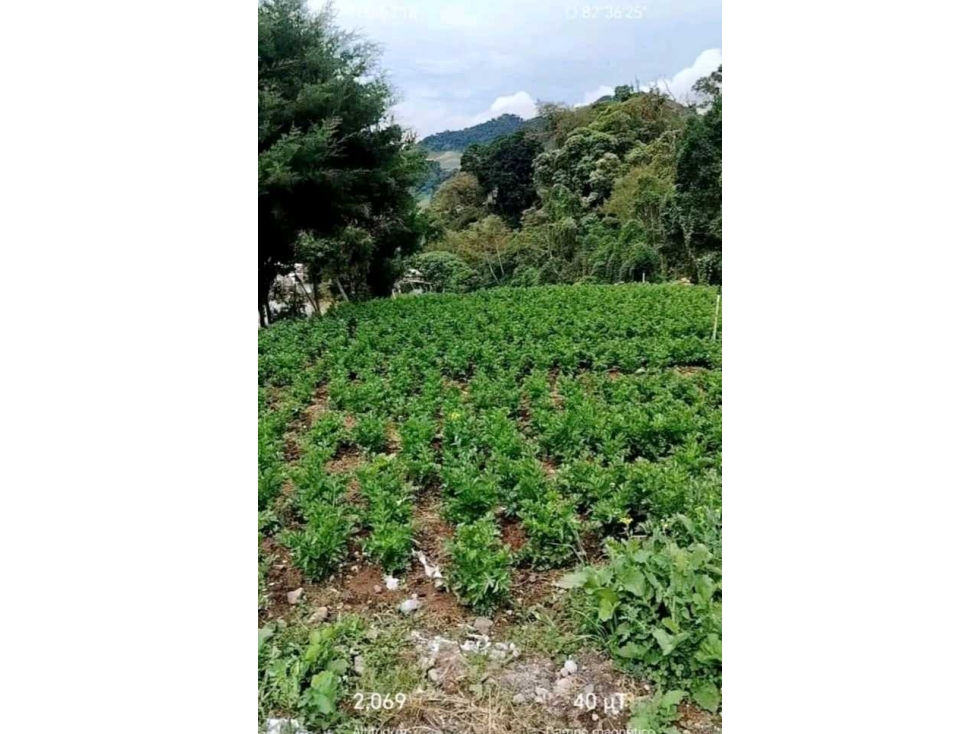 VENDO TERRENO EN CERRO PUNTA, LAS NUBES, EXCELENTE CLIMA - 3