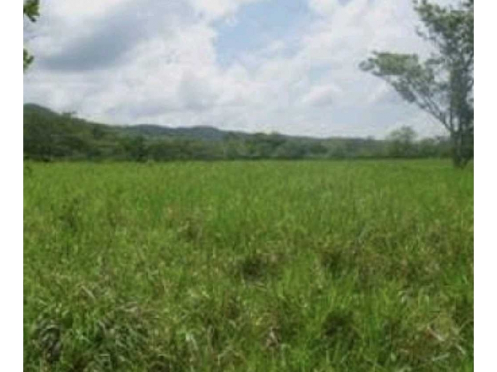 Vendo terreno en Chepo Panamá - 1