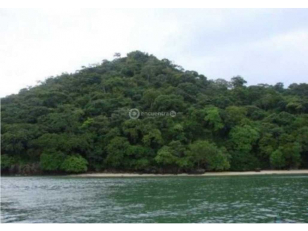 VENDO TERRENO EN LA CHORRERA CAPIRA CERMEÑO 95000MTS — foto 5