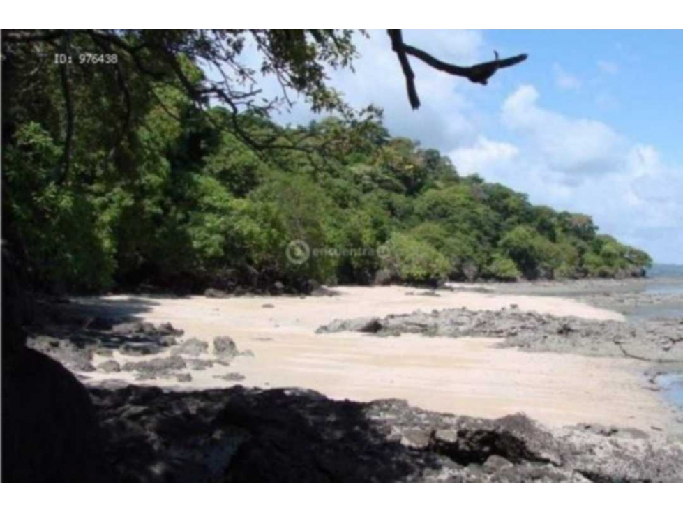 VENDO TERRENO EN LA CHORRERA CAPIRA CERMEÑO 95000MTS — foto 6