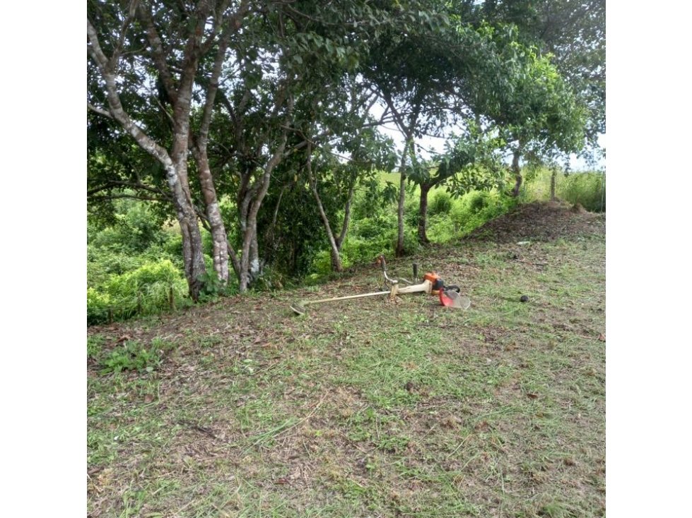 VENDO TERRENO EN RIO HATO - 2