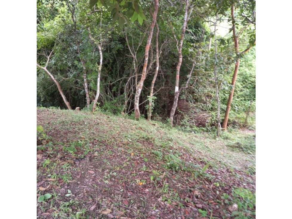VENDO TERRENO EN RIO HATO - 3