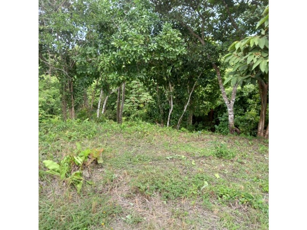 VENDO TERRENO EN RIO HATO - 4