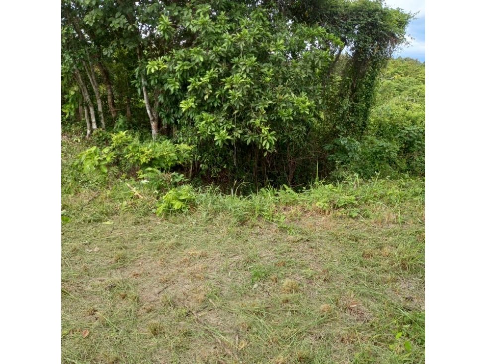 VENDO TERRENO EN RIO HATO - 5