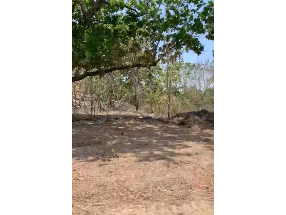 VENDO TERRENO EN SA CARLOS CARRETERA INTERAMERICANA