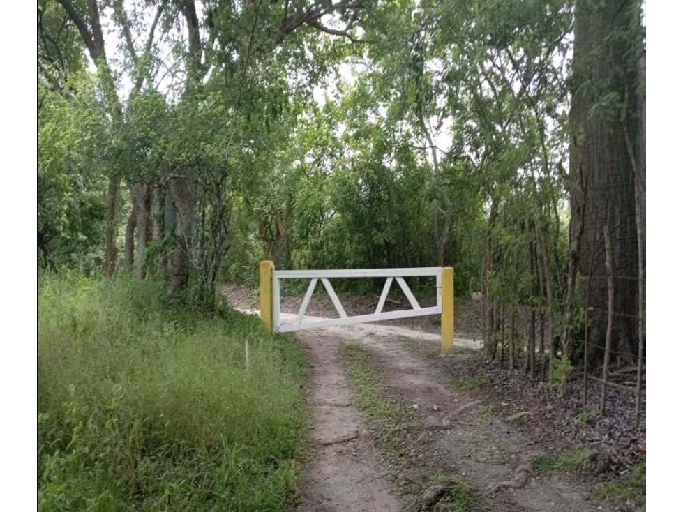 Vendo terreno en San Carlos La Hermita frente a un rio y a la playa