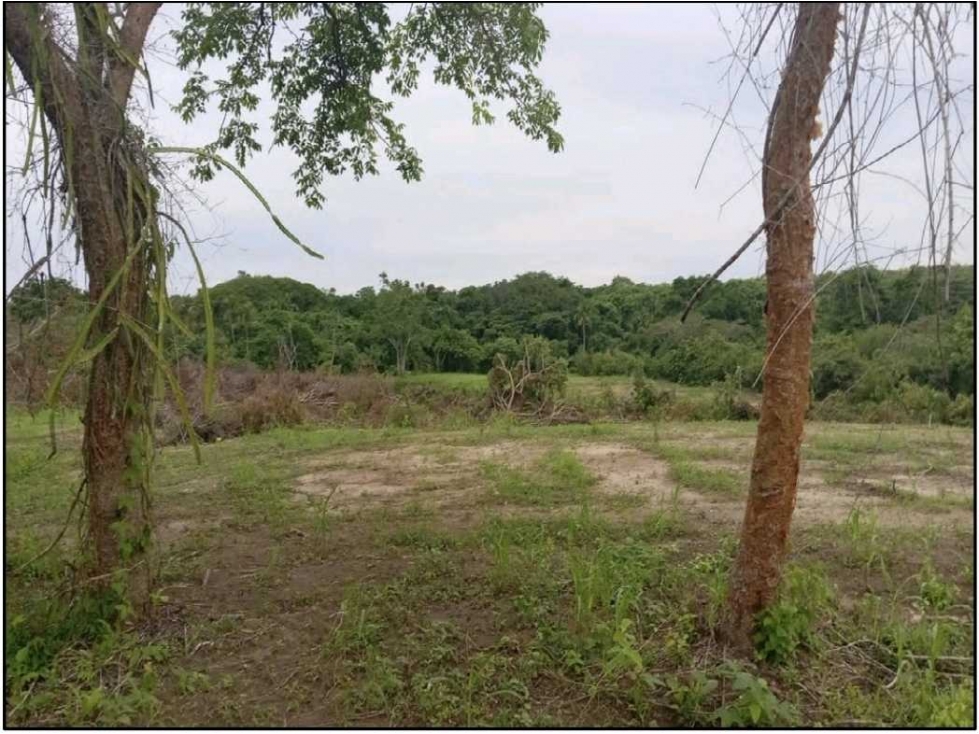 Vendo terreno en San Carlos La Hermita frente a un rio y a la playa — foto 2