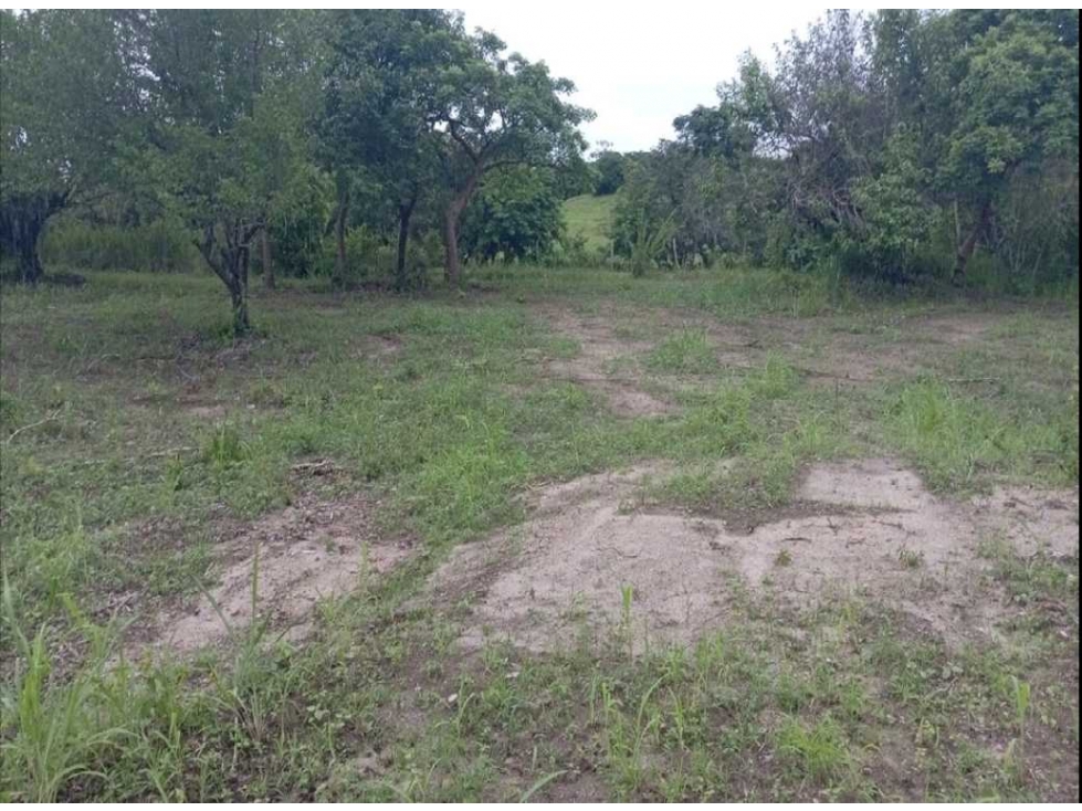 Vendo terreno en San Carlos La Hermita frente a un rio y a la playa — foto 3