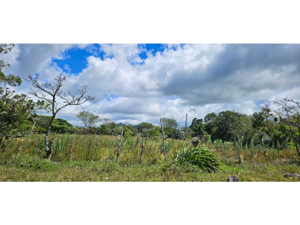 VENDO TERRENO EN VOLCÁN 2000 M2 - 2