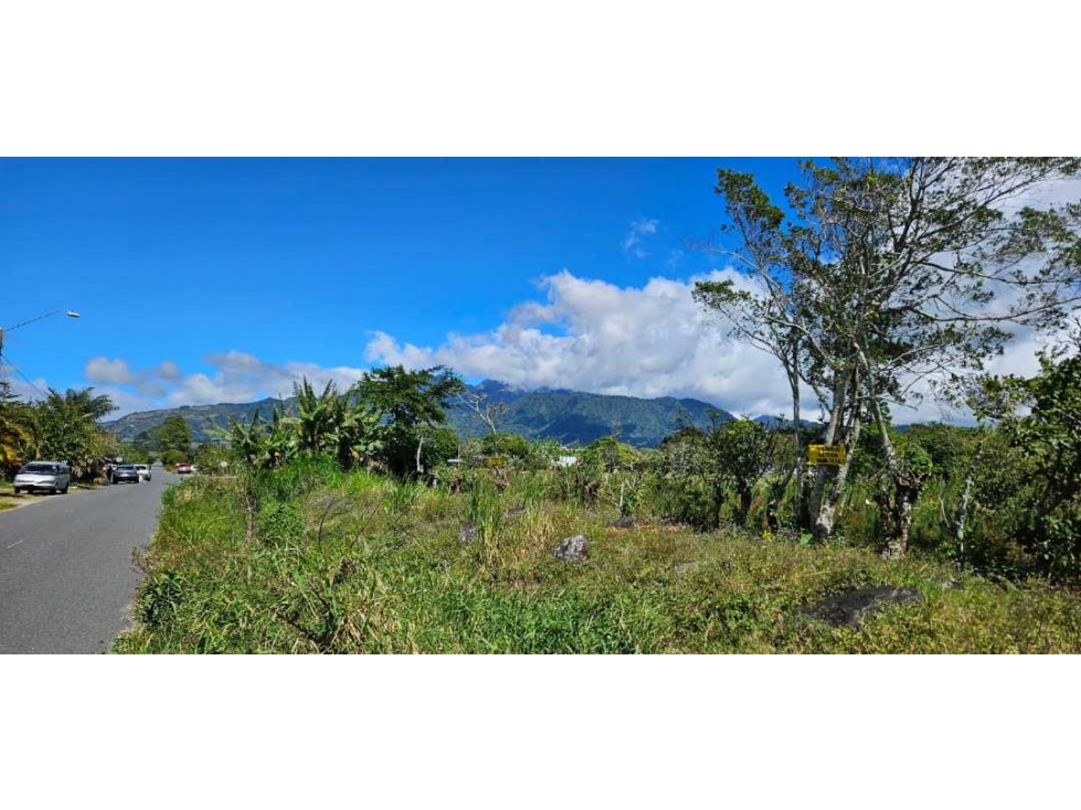 VENDO TERRENO EN VOLCÁN 2000 M2 - 4