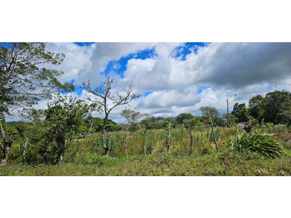 VENDO TERRENO EN VOLCÁN 2000 M2 - 5