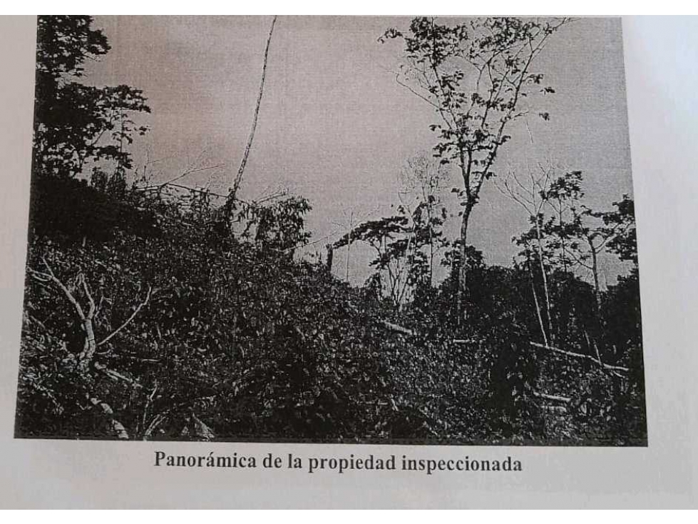 Vendo terreno en Yaviza en Darien negociable. - 5