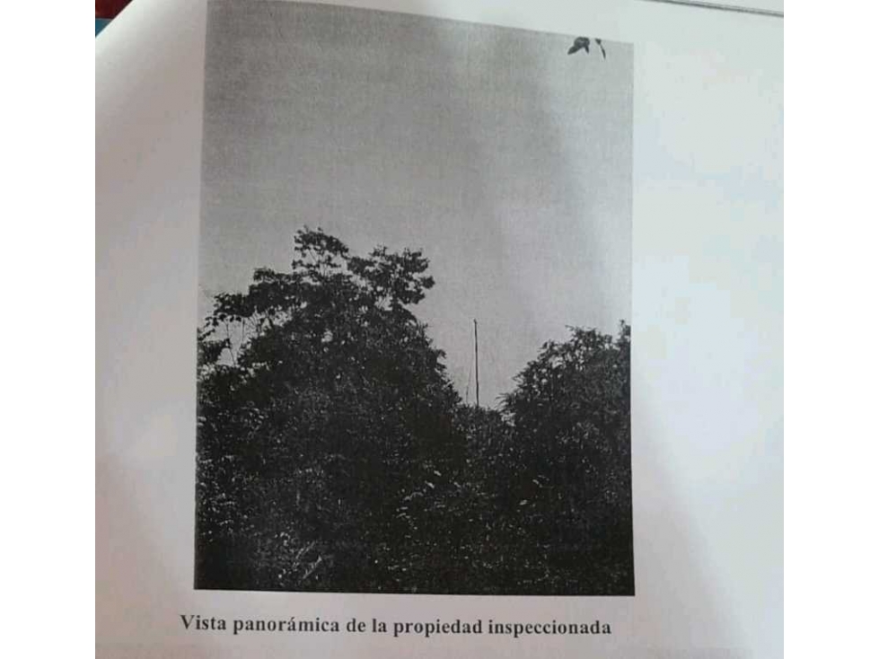 Vendo terreno en Yaviza en Darien negociable. - 6