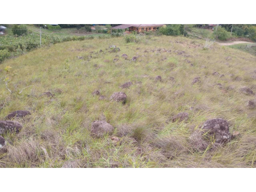 VENDO TERRENO EN ZONA ALTA Y FRESCA EN PENONOMÉ - 5