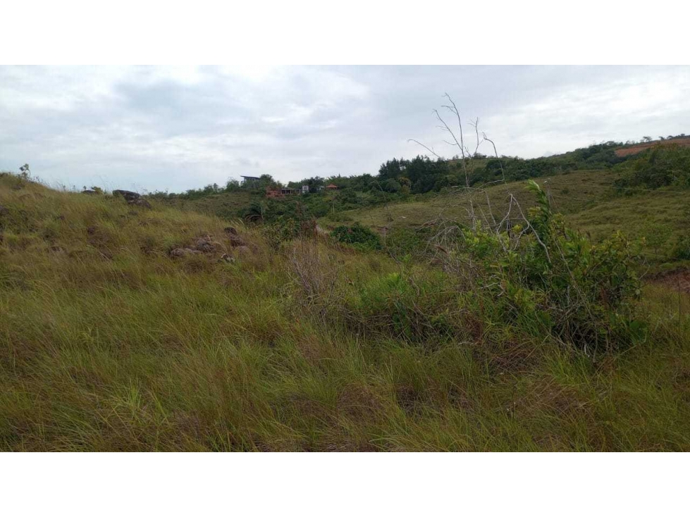 VENDO TERRENO EN ZONA ALTA Y FRESCA EN PENONOMÉ - 3