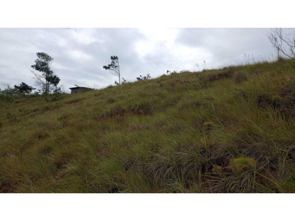 VENDO TERRENO EN ZONA ALTA Y FRESCA EN PENONOMÉ - 2