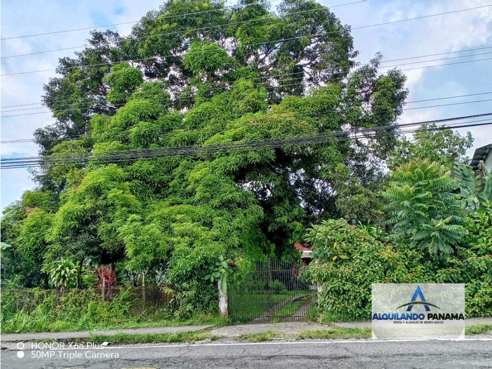 Vendo terreno en zona comercial en Bugaba, excelente ubicación! - 1