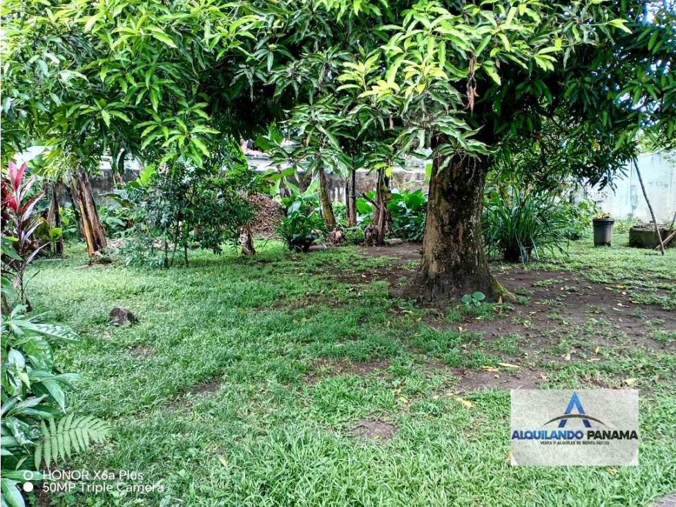 Vendo terreno en zona comercial en Bugaba, excelente ubicación! - 4
