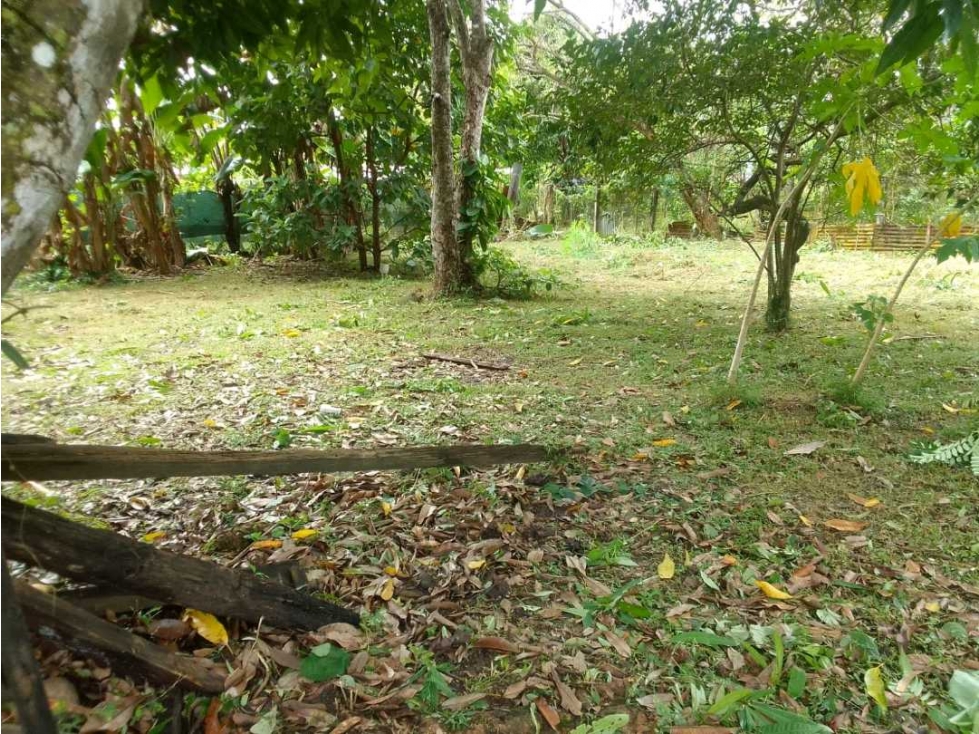 VENDO TERRENO EXCELENTE UBICACION VÍA CHIGORÉ PENONOMÉ - 1