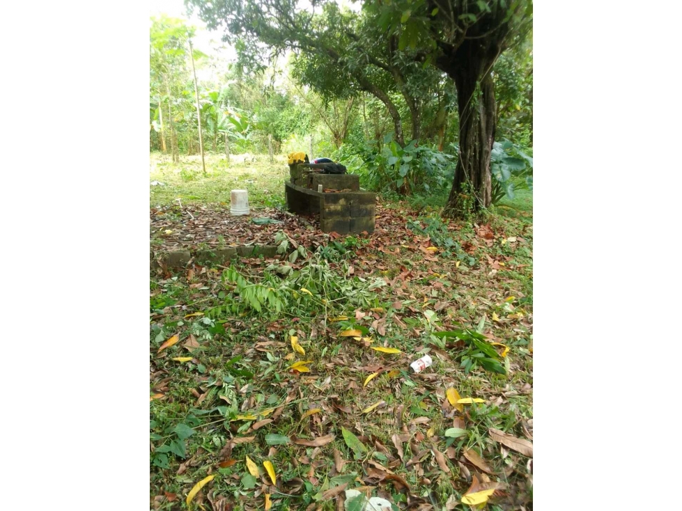 VENDO TERRENO EXCELENTE UBICACION VÍA CHIGORÉ PENONOMÉ - 2