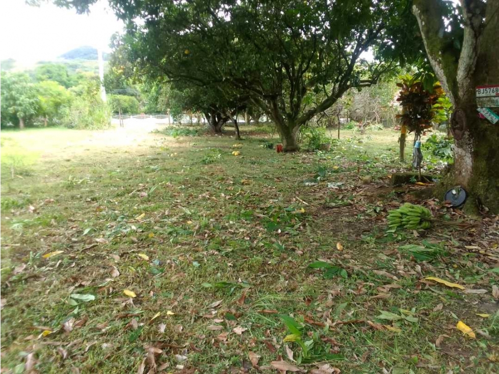 VENDO TERRENO EXCELENTE UBICACION VÍA CHIGORÉ PENONOMÉ - 3