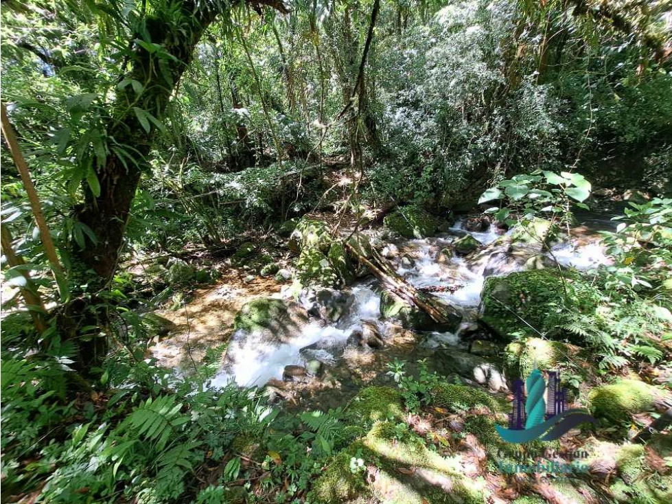 VENDO TERRENO TITULADO BOSQUE PRIMARIO EN BOQUETE - 1