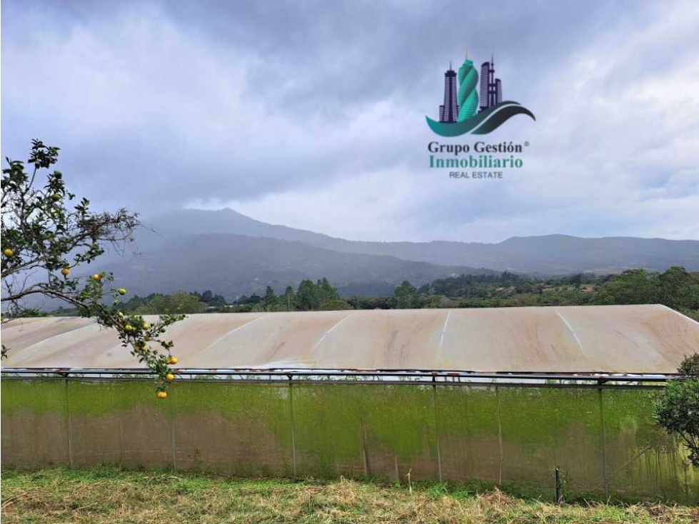 VENDO TRES HECTAREAS + ALTITUD DE 1345M.S.N.M. VOLCANCITO - 1
