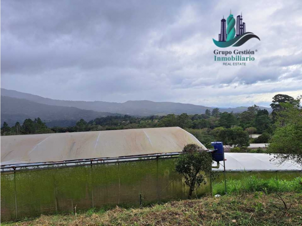 VENDO TRES HECTAREAS + ALTITUD DE 1345M.S.N.M. VOLCANCITO - 2