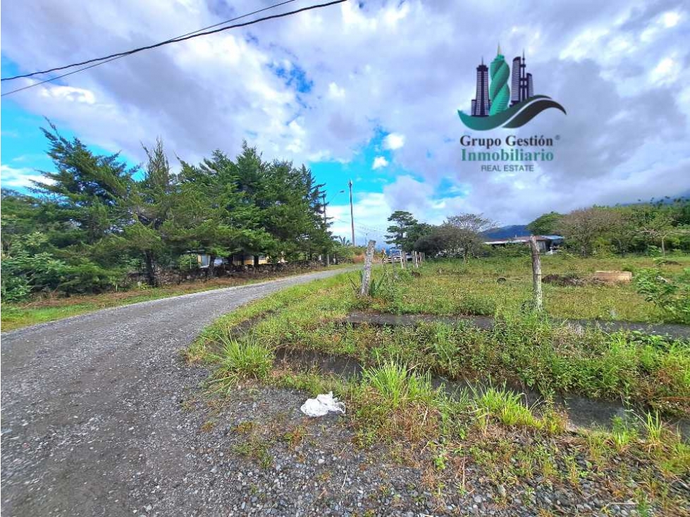 VENDO TRES LOTES DE 1000MTS ALTO BOQUETE - 5