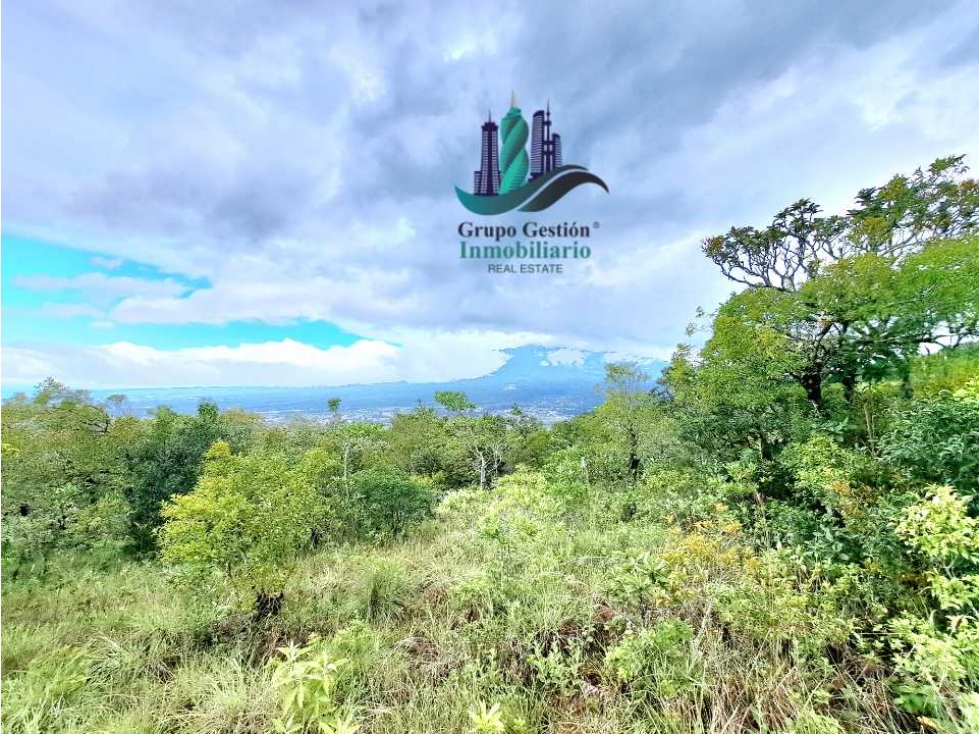 VENDO UNA HECTAREA A SEGREGAR A 1320M.S.N.M. - 3