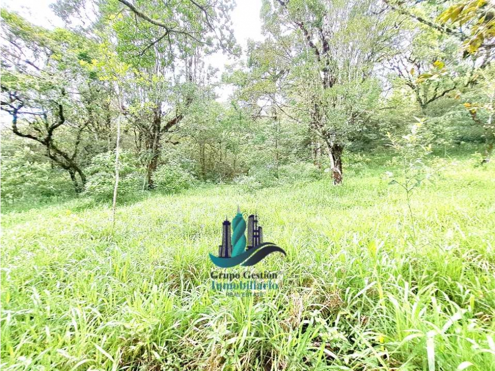 VENDO UNA HECTAREA A SEGREGAR A 1320M.S.N.M. - 4