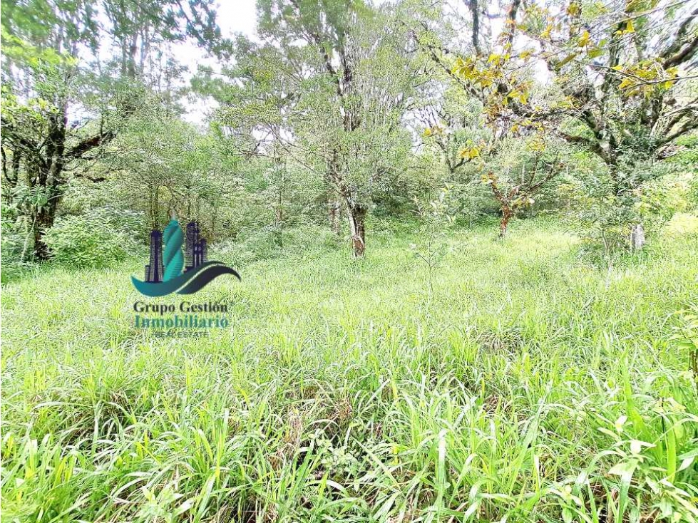 VENDO UNA HECTAREA A SEGREGAR A 1320M.S.N.M. - 5