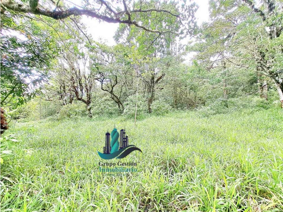 VENDO UNA HECTAREA A SEGREGAR A 1320M.S.N.M. - 6