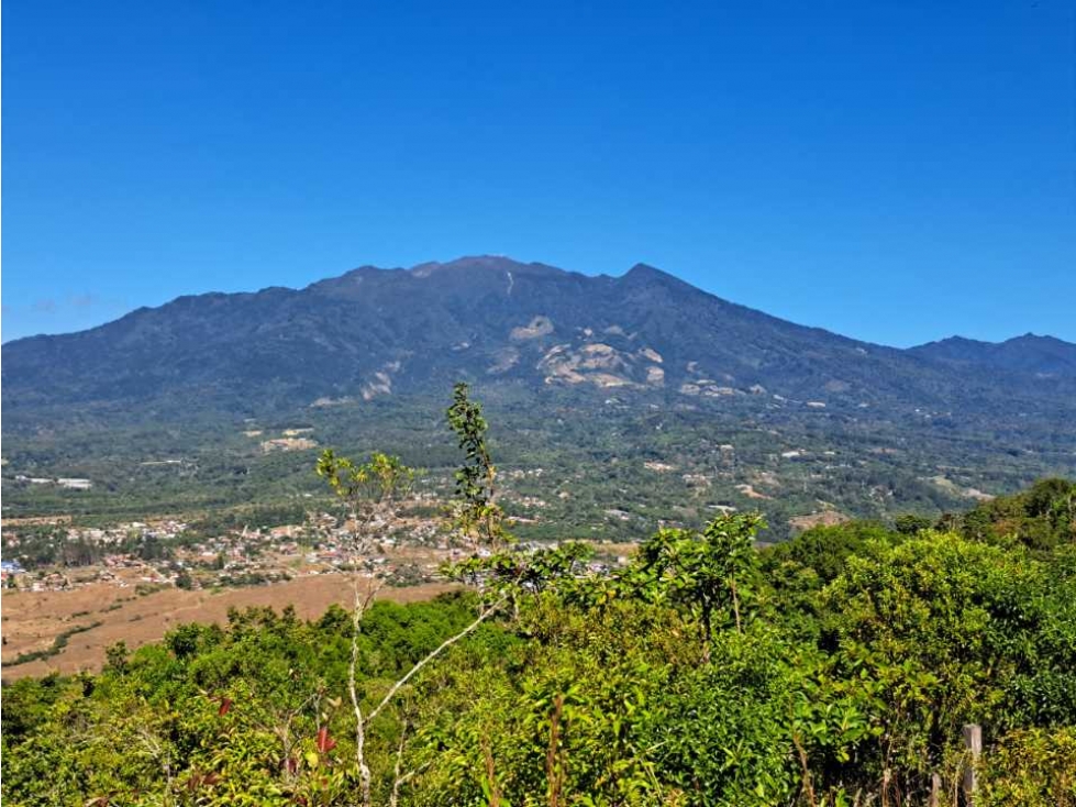 VENDO UNA HECTAREA A SEGREGAR A 1320M.S.N.M. - 1