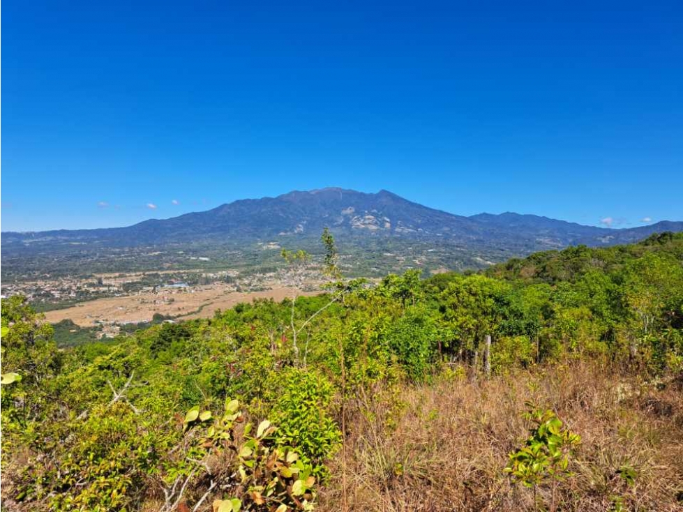 VENDO UNA HECTAREA A SEGREGAR A 1320M.S.N.M. - 2