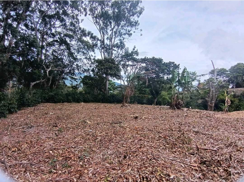 VENDO UNA HECTAREA A SEGREGAR EL SALTO — foto 4