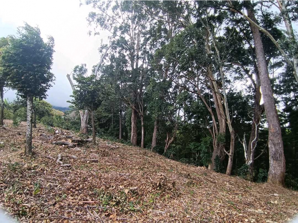 VENDO UNA HECTAREA A SEGREGAR EL SALTO — foto 6