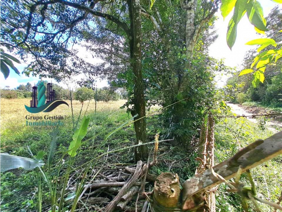 VENDO UNA HECTAREA + CON ACCESO A TODOS LOS SERVICIOS BASICOS - 2