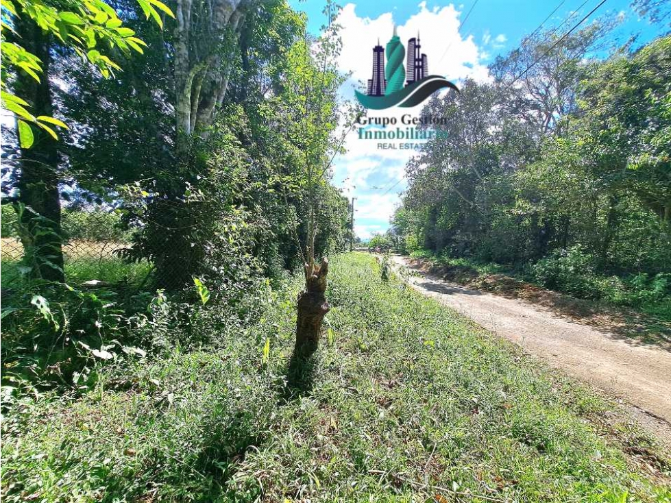 VENDO UNA HECTAREA + CON ACCESO A TODOS LOS SERVICIOS BASICOS - 6
