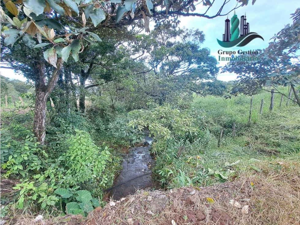 VENDO UNA HECTAREA + 2000MTS CON CONCESION DE AGUA - 5