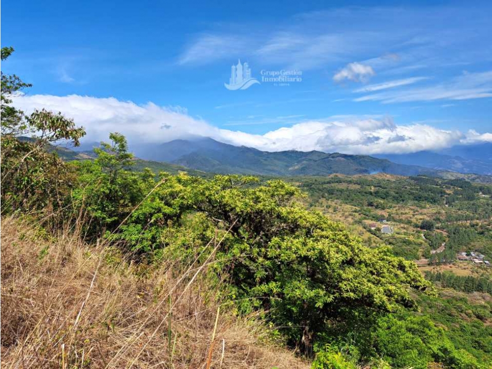 VENDO UNA HECTAREA CON VISTA 360 - 5