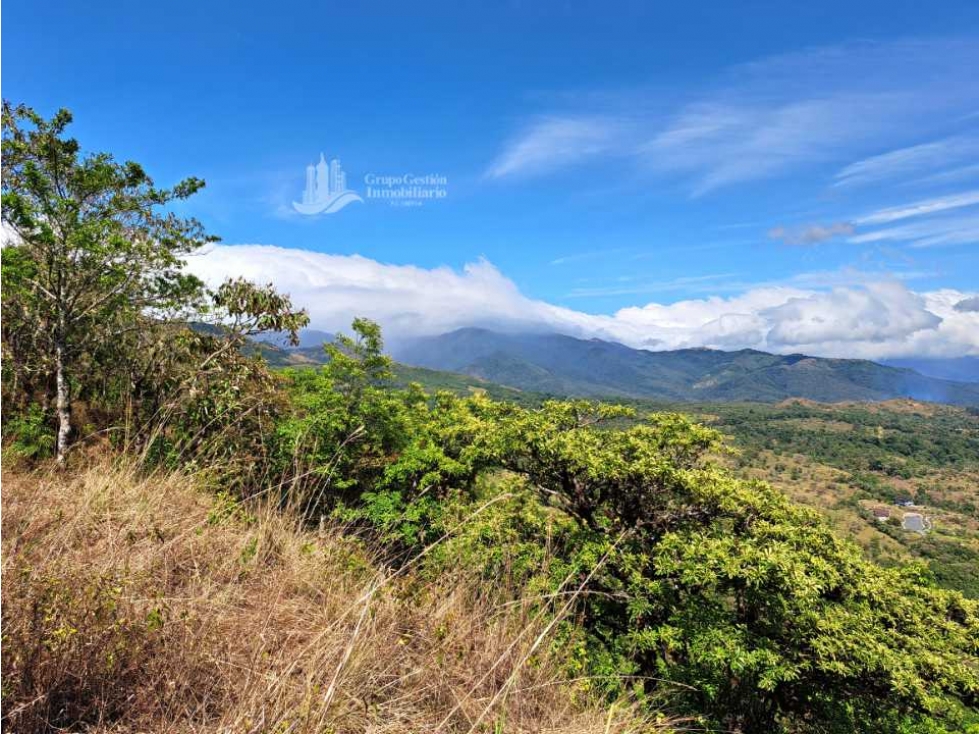 VENDO UNA HECTAREA CON VISTA 360 - 6