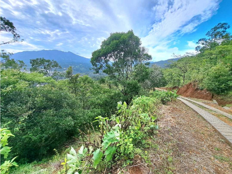 VENDO UNA HECTAREA CON.VISTAS Y ALTITUD BOQUETE