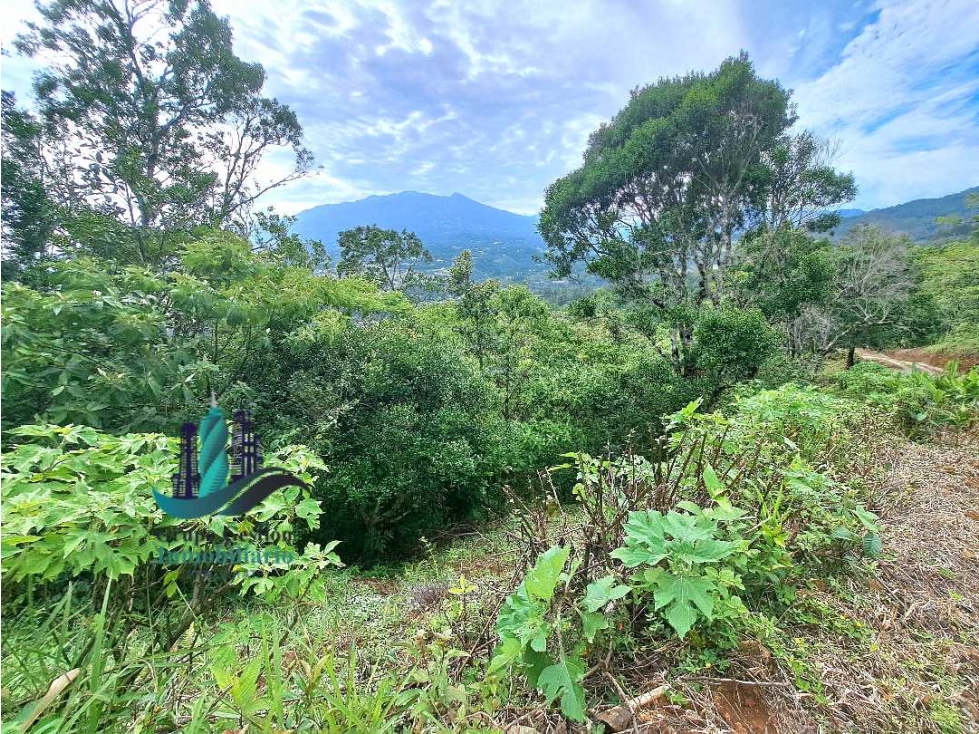 VENDO UNA HECTAREA CON.VISTAS Y ALTITUD BOQUETE — foto 2