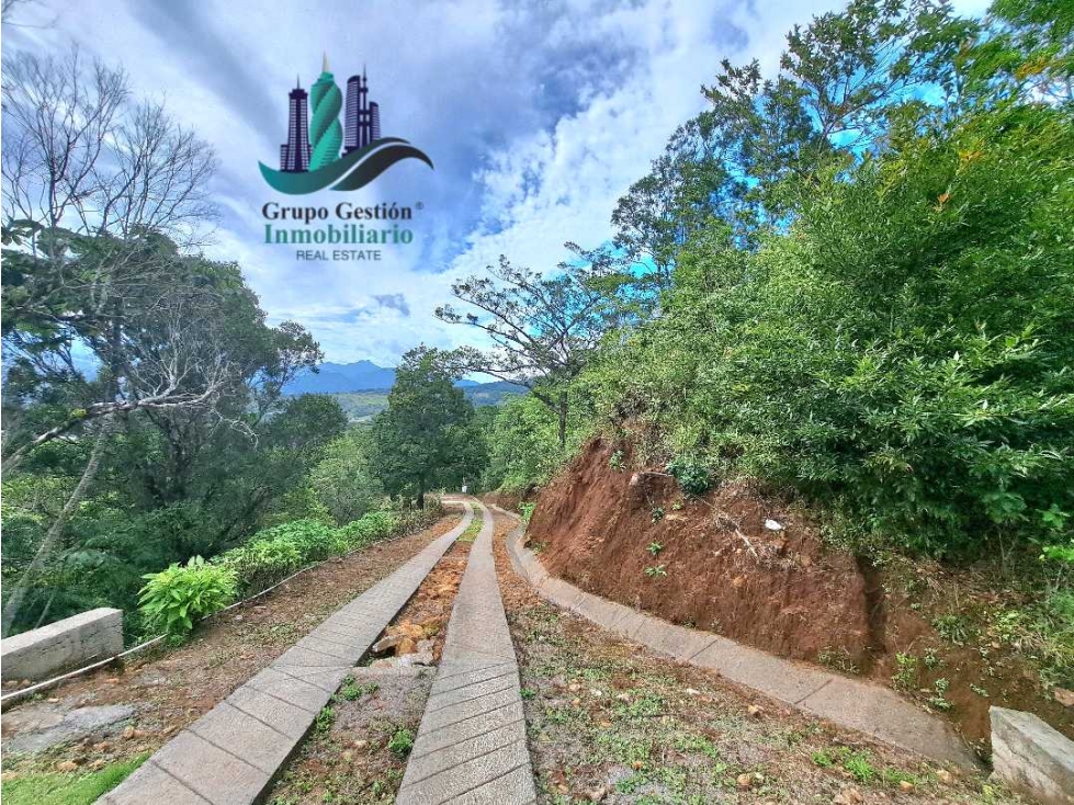VENDO UNA HECTAREA CON.VISTAS Y ALTITUD BOQUETE — foto 3