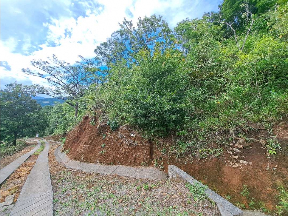 VENDO UNA HECTAREA CON.VISTAS Y ALTITUD BOQUETE — foto 4